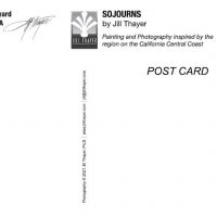Castoro Vineyard, Templeton - Image 2
